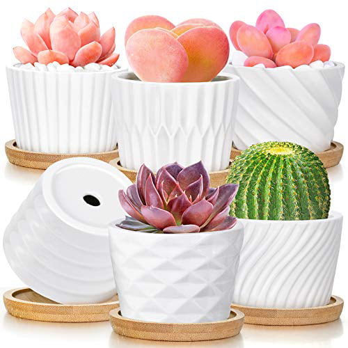 Perfect for Gift Ceramic Planter with Drainage and Wooden Tray for Indoor Use Small Succulent Pots Set of 3 Great for Flowers Succulents and Cactus Plants Not Included 